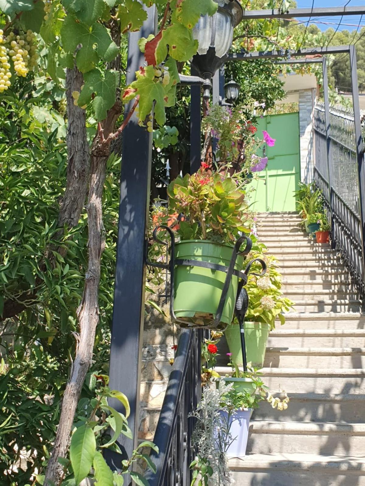 Sara Guesthouse Berat Ngoại thất bức ảnh